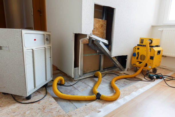 Best Emergency Mold Remediation  in Bartlett, TN